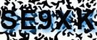 grafischer Sicherheitscode