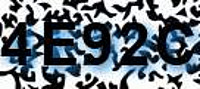 grafischer Sicherheitscode