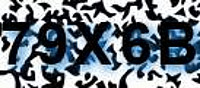 grafischer Sicherheitscode