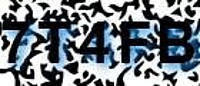 grafischer Sicherheitscode