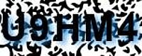grafischer Sicherheitscode
