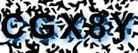 grafischer Sicherheitscode