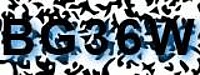 grafischer Sicherheitscode