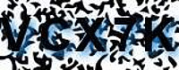 grafischer Sicherheitscode