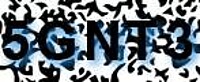 grafischer Sicherheitscode