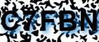 grafischer Sicherheitscode