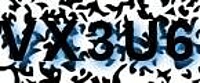 grafischer Sicherheitscode