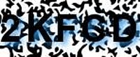 grafischer Sicherheitscode