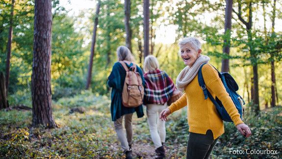 Flächendeckendes Beratungsangebot zur Altenhilfe gefordert