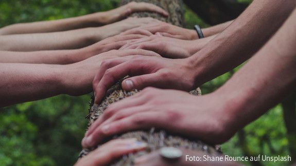 Säule sozialer Rechte Hände fassen auf einen Baumstamm