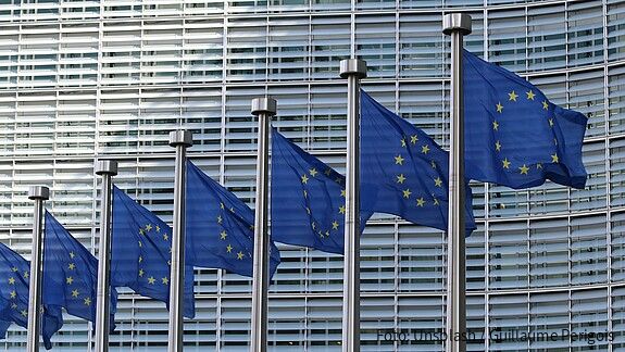 Das Foto zeigt eine Reihe Europa-Flaggen an Fahnenmasten