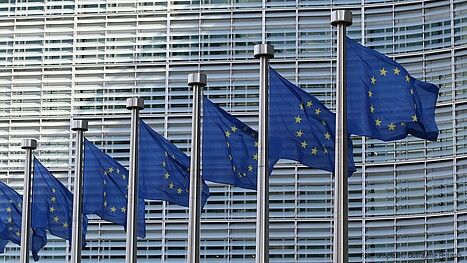 Das Foto zeigt eine Reihe Europa-Flaggen an Fahnenmasten
